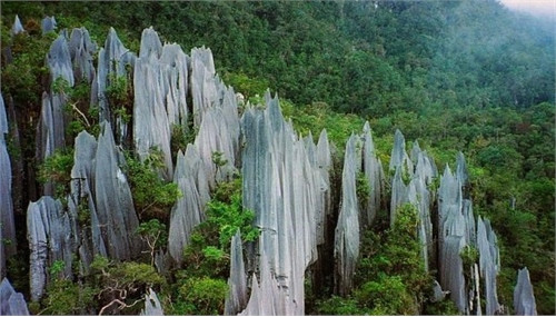 Đỉnh đá vôi ở Công viên Gunang Mulu, Malaysia.