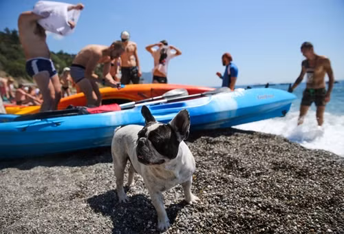 Crimea một năm sau ngày trở về đất mẹ Nga ảnh 10