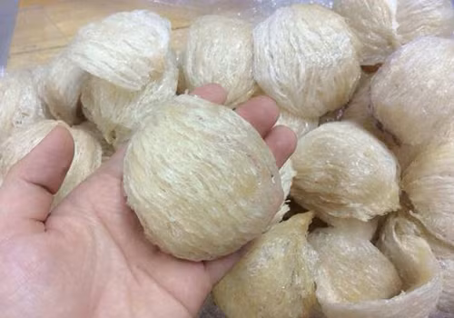 Tổ yến được bán với giá 4,5 triệu đồng/100g. Ảnh: Hiếu Nguyệt