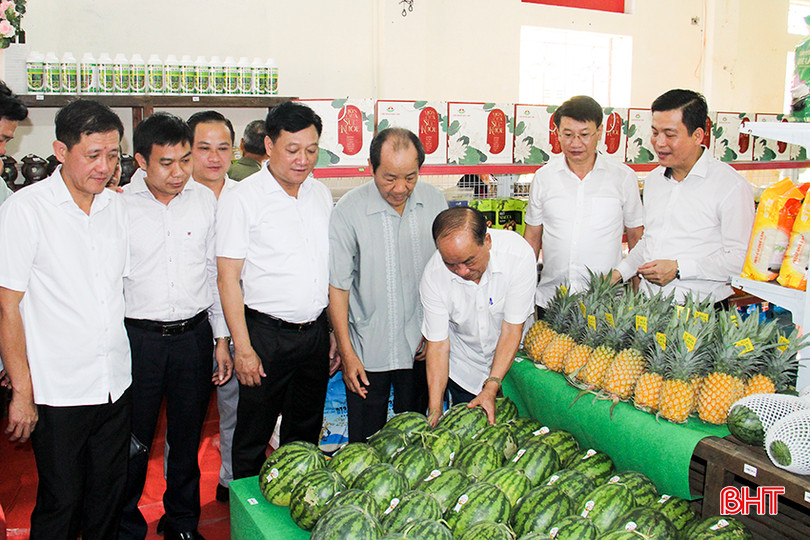 Đại biểu tham quan cửa hàng kinh doanh nông sản hữu cơ đầu tiên tại thị trấn Đức Thọ. 3.jpg