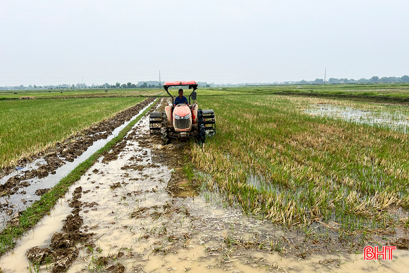 Hiện bà con nông dân Đức Thọ đang tập trung làm đất để sản xuất hè thu. 4.jpg