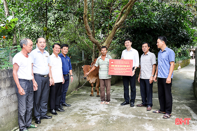 Ủy ban MTTQ huyện Đức Thọ trao hỗ trợ mô hình sinh kế cho hộ có hoàn cảnh khó khăn ở thôn Kim Mã, xã Trường Sơn. 4.jpg