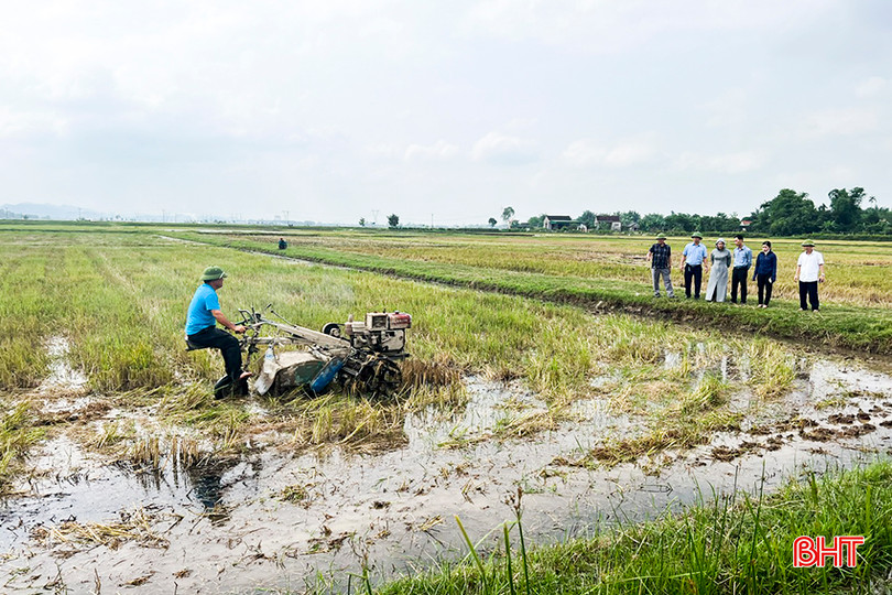 Việc sử dụng chế phẩm sinh học hỗ trợ hiệu quả cho phát triển nông nghiệp tuần hoàn, hữu cơ. 8.jpg