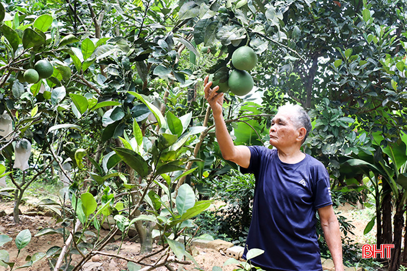 Mặc dù đã 87 tuổi nhưng ông Trần Lê Đệ vẫn còn minh mẫn, sức khỏe tốt. 4.jpg