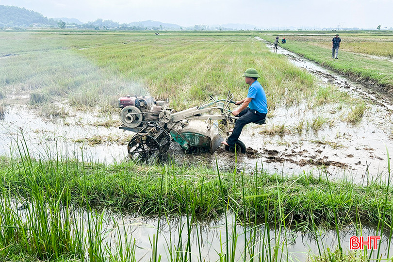 Sau khi rải chế phẩm sinh học xử lý rơm, gốc rạ và cỏ dại, bà con nông dân dùng máy phay đất giúp gốc rạ phân hủy, tạo thành phân hữu cơ ngay tại chỗ. 5.jpg