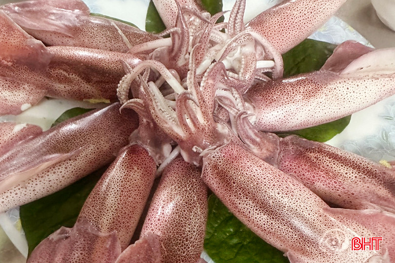 04576e99-d0a3-41ff-bbe4-3ca24fba4370 copy.jpg