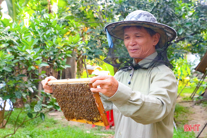 Để đảm bảo có sản lượng mật cao, chất lượng tốt, đàn ong khỏe mạnh, đòi hỏi người nuôi ong phải nắm bắt được các kinh nghiệm, kỹ thuật nuôi. Để đảm bảo có sản lượng mật cao, chất lượng tốt, đàn ong khỏe mạnh, đòi hỏi người nuôi ong phải nắm bắt được các kinh nghiệm, kỹ thuật nuôi.