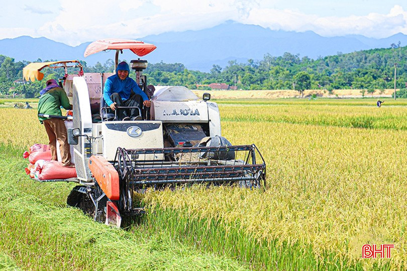 Các địa phương chưa thu hoạch xong lúa xuân đang đẩy nhanh tiến độ, quyết tâm hoàn thành trước ngày 10/6. 140d5225208t3819l10-142d2085512t15244l0.jpg