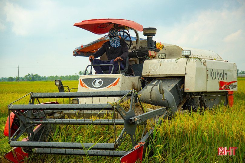 Giá thuê máy gặt đập trên địa bàn Hà Tĩnh dao động từ khoảng 130 – 170 ngàn đồng/sào. 0X5A0482.jpg