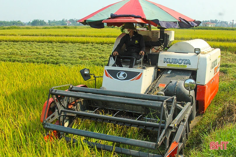 z5413391414257_929f1ab3b5ba1540fe65ffc741f93c61 (1).jpg