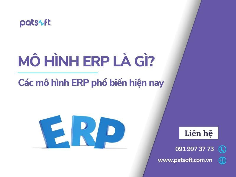 Mô hình ERP 2.jpg