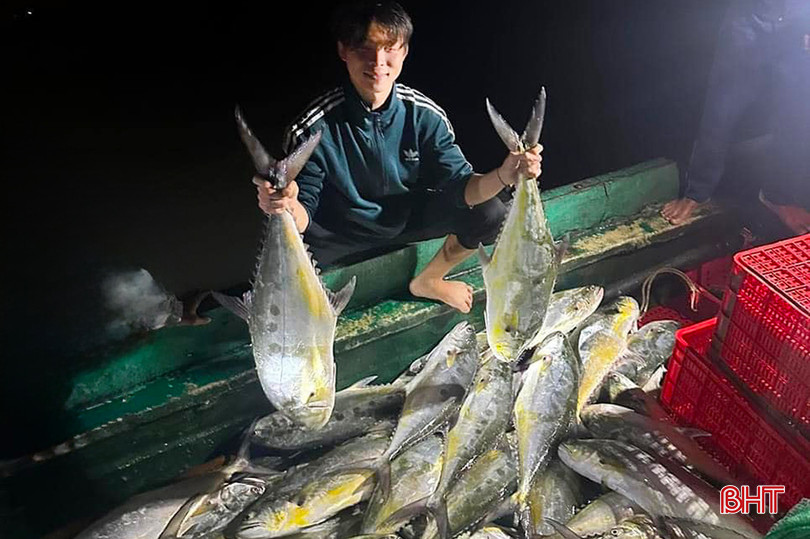 Ngư dân ở xã Kỳ Ninh trúng hơn 1 tấn cá bè vào ngày 4/3.