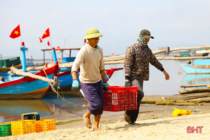 Trong 2 ngày, ngư dân xã Kỳ Ninh đã trúng hơn 30 tấn hải sản các loại.