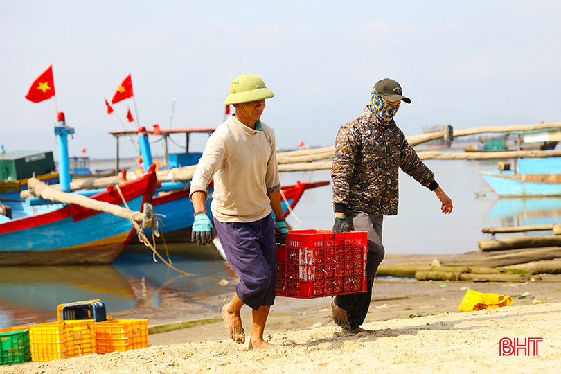 Trong 2 ngày, ngư dân xã Kỳ Ninh đã trúng hơn 30 tấn hải sản các loại.