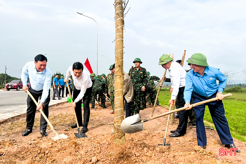 Toàn huyện Đức Thọ phấn đấu trồng 22.000 cây xanh trong năm 2024 cay.jpg