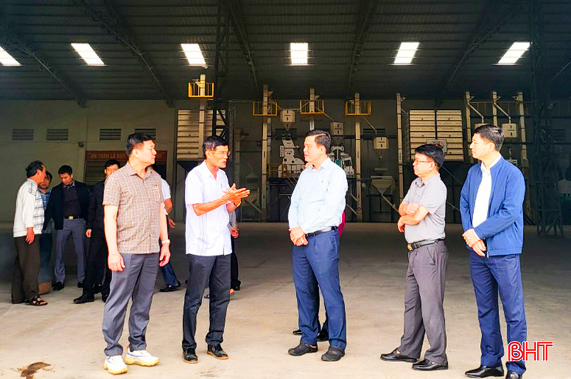 Đoàn tham quan nhà máy chế biến gạo hữu cơ A8.jpg