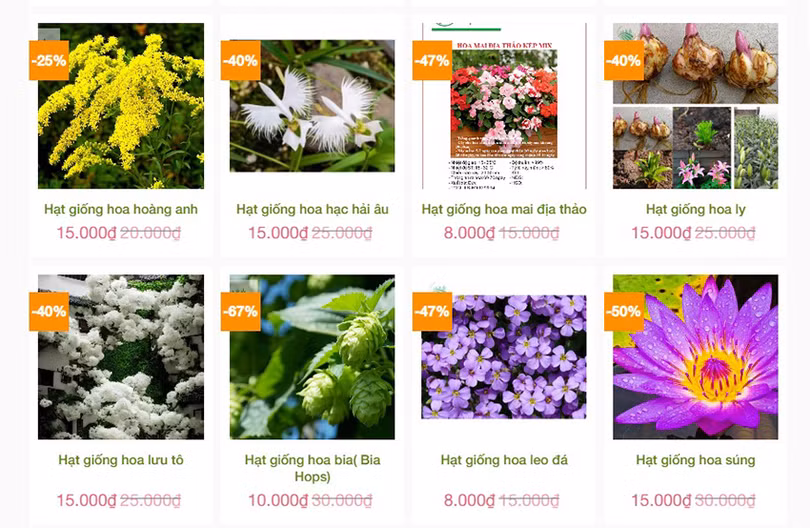 Mua hạt giống 2.jpg