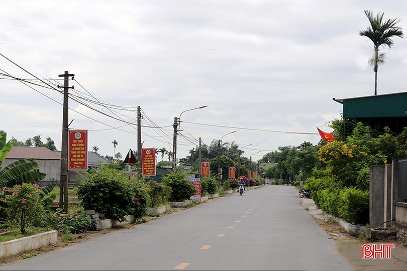 Dọc các tuyến đường được trồng hoa, cây bóng mát b_9622.jpg