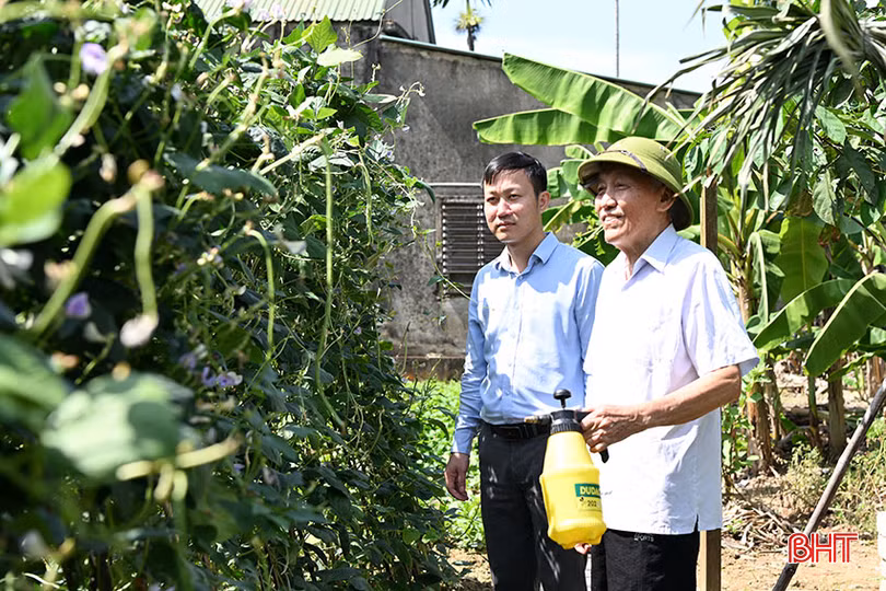 Phường Thạch Linh hiện có 268 vườn hộ, trong đó 249 vườn hộ đã được cải tạo, chỉnh trang.