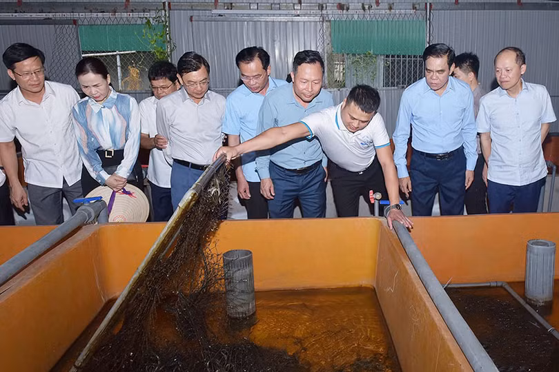 bqbht_br_anh-1221-2383 copy.jpg