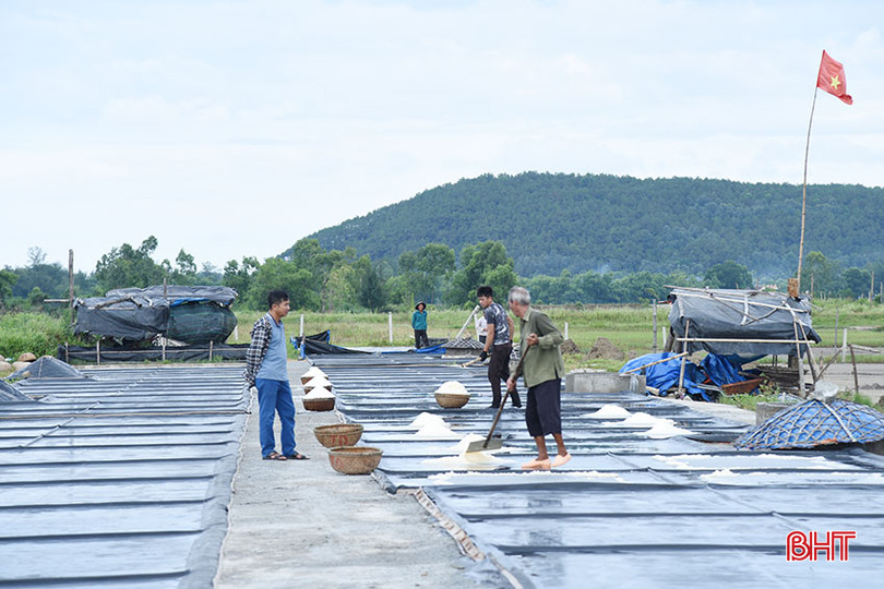 Tháng 4/2023, mô hình sản xuất muối sạch bằng phương pháp trải bạt trong ô kết tinh được triển khai đầu tiên ở Hà Tĩnh tại thôn Tân Phong, xã Đỉnh Bàn (Thạch Hà). DSC_s6567.jpg