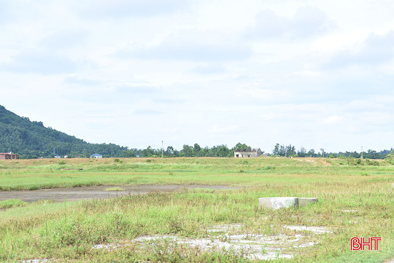 Những đồng muối trắng xóa của Đỉnh Bàn ngày xưa nay cỏ dại mọc um tùm, hoang hóa. DSC_6594 copy.jpg
