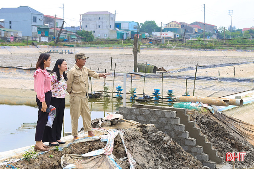 Ông Trương Quang Ngọc - thành viên HTX Nuôi trồng thủy sản Hà Vọoc đặc biệt quan tâm đến nguồn giống tôm trước mỗi vụ nuôi. IMG_6695.jpg