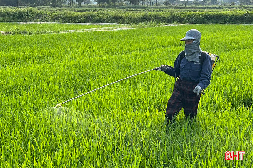 Bà con nông dân các địa phương cần tuân thủ nguyên tắc "4 đúng" trong phòng trừ sâu bệnh. z5237811369218_71c3882004b3ea83a2247dc9959470fa.jpg