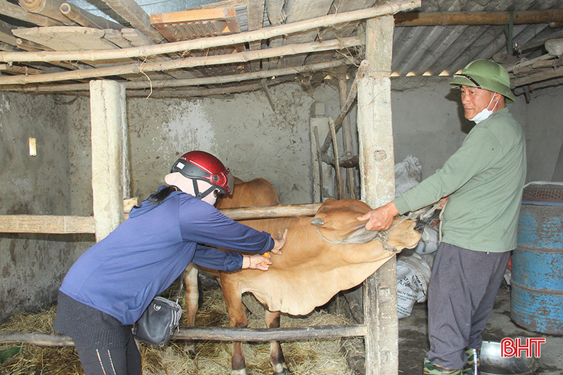 Để đảm bảo an toàn cho đàn gia súc, gia cầm, các địa phương tập trung triển khai công tác tiêm phòng đợt 1/2024 đảm bảo tỷ lệ. z5241060133311_a85cc0f50d1367eb951d6fd5fc6dcb9e.jpg