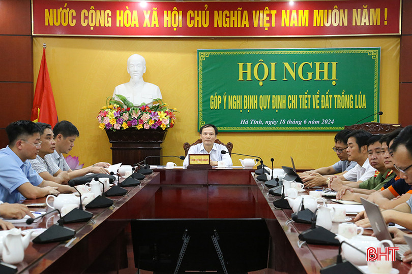 Giám đốc Sở NN&PTNT tỉnh Nguyễn Văn Việt điều hành điểm cầu Hà Tĩnh. IMG_0011.jpg