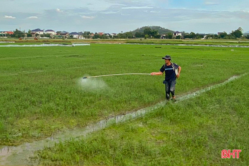 Nông dân một số địa phương tại huyện Can Lộc, vùng bãi ngang huyện Thạch Hà... xuống đồng phun trừ sâu bệnh hại lúa đầu vụ. z5510060633837_a552184fbfe56153664fdf39c737572a.jpg