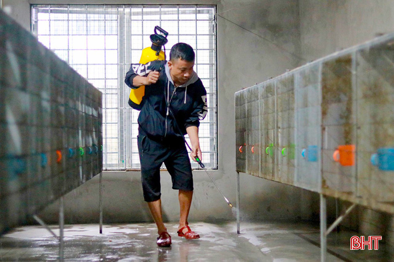 Vệ sinh sạch khu vực chăn nuôi là yêu cầu bắt buộc để chồn hương phát triển tốt, ít dịch bệnh. z5571313329444_a4f11aa14cdadc29b27f8a753da05e39.jpg