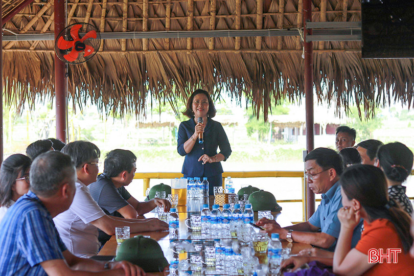 Phó Chủ tịch BCH Trung ương Hội Nông dân Việt Nam Bùi Thị Thơm đánh giá cao cách làm sáng tạo của TP Hà Tĩnh trong xây dựng nông nghiệp đô thị. z5557529335933_2035a90d1d9e811c983ea5ca3a71cc7e.jpg