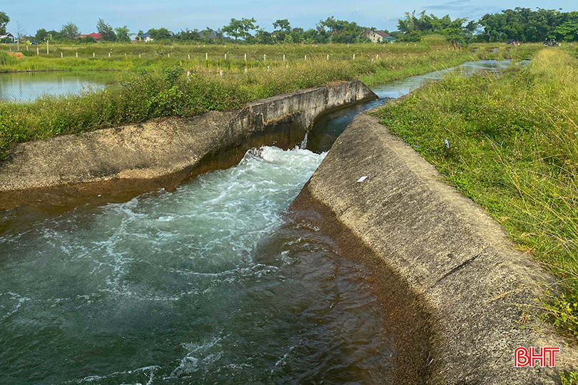 Các địa phương chủ động điều tiết nước tưới từ các công ty thủy nông phục vụ tưới dưỡng đợt 2. z5528559159321_086d04934468e472da5049532ab49e9c.jpg