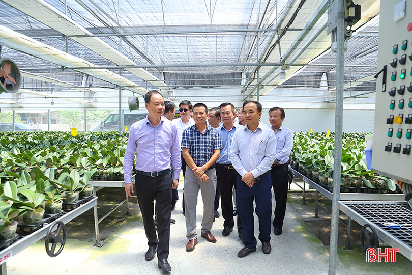 Thứ trưởng Bộ KH&CN Trần Hồng Thái và các thành viên đoàn đã đến kiểm tra mô hình ứng dụng tiến bộ KH&CN sản xuất hoa lan hồ điệp trên địa bàn xã Thạch Khê (Thạch Hà). IMG_1098.jpg