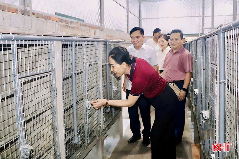 Đoàn công tác huyện Lệ Thủy (Quảng Bình) tham quan mô hình nuôi chồn hương tại huyện Vũ Quang. bqbht_br_z5338943009583-67ff6ce44d2cbe20ab093725ae236f59-copy-7673.jpg