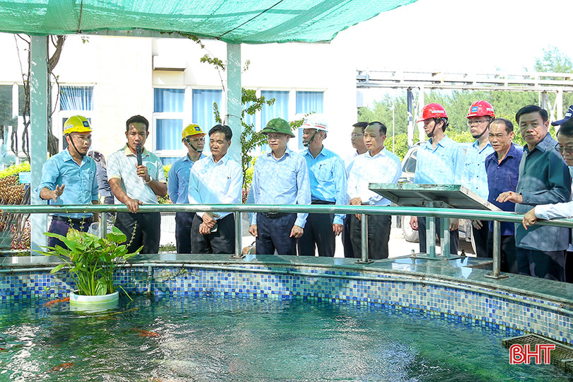 Đoàn tham quan khu sinh thái tại Formosa Hà Tĩnh IMG_0407.jpg