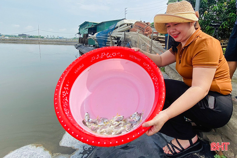 Hộ chị Lê Thị Khuyên (thôn Vĩnh Phú, xã Hộ Độ, Lộc Hà) thả giống từ tháng 5/2024. z5625268382112_baf31b1d0ee9586c5dd5a7e1990c5bcb.jpg