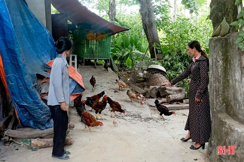 Chị Nguyệt thường xuyên đến thăm các mô hình sinh kế do mặt trận Tổ quốc các cấp hỗ trợ các hộ nghèo. 3.jpg