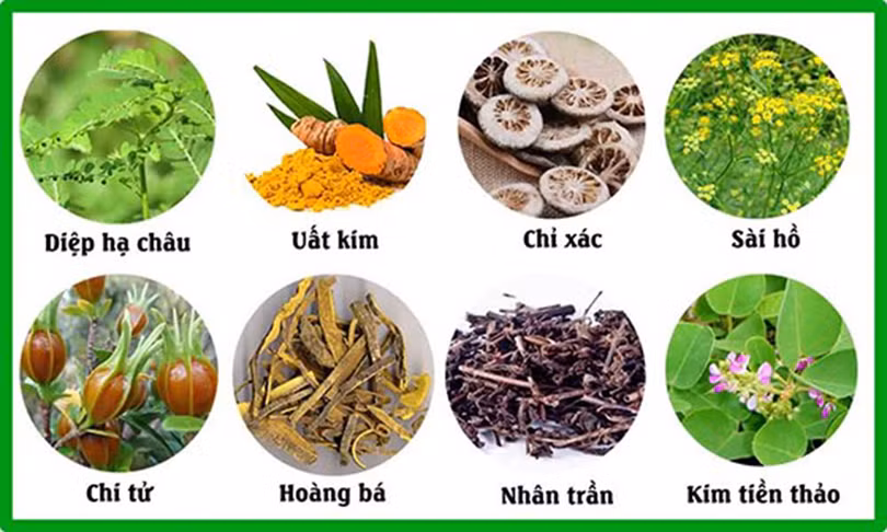 Kim Đởm Khang 2.jpg