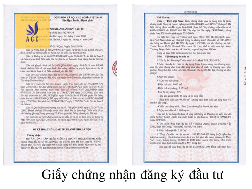 Thành lập 3.jpg