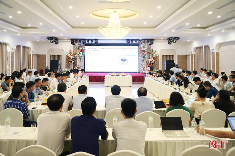 Toàn cảnh hội thảo. 70.JPG
