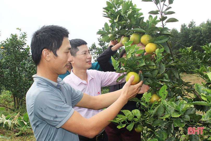 Nguồn vốn tín dụng CSXH góp phần thực hiện hiệu quả các mục tiêu, nhiệm vụ về giảm nghèo bền vững, xây dựng nông thôn mới trên địa bàn. IMG_2312.JPG