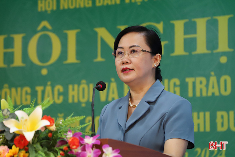 Trưởng ban Dân vận Tỉnh ủy Hà Tĩnh Trương Thanh Huyền phát biểu tại hội nghị. 80.JPG