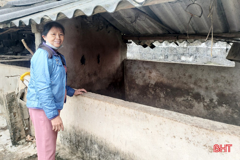 Gia đình bà Bùi Thị Thu (xã Thượng Lộc, Can Lộc) chưa dám tái đàn vì giá lợn hơi thấp. 08.jpg