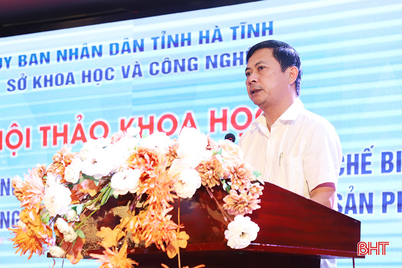 Phó Chủ tịch UBND tỉnh Lê Ngọc Châu phát biểu khai mạc hội thảo. 66.JPG