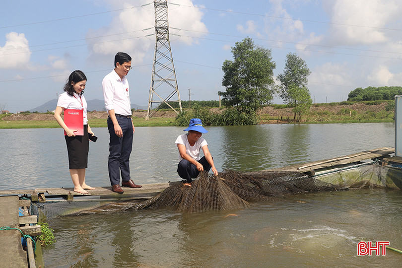 Lãnh đạo Agribank Chi nhánh Kỳ Anh kiểm tra mục đích sử dụng vốn của gia đình anh Phạm Khánh Tuấn. 22.JPG