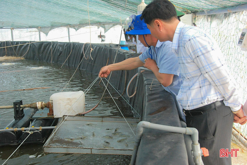 Người nuôi cần thường xuyên kiểm tra môi trường và hoạt động của con tôm, nhất là vào sáng sớm, chiều tối. z5326627444731_2bbce0c66de4dddf02cbe740f7cc47bd.jpg
