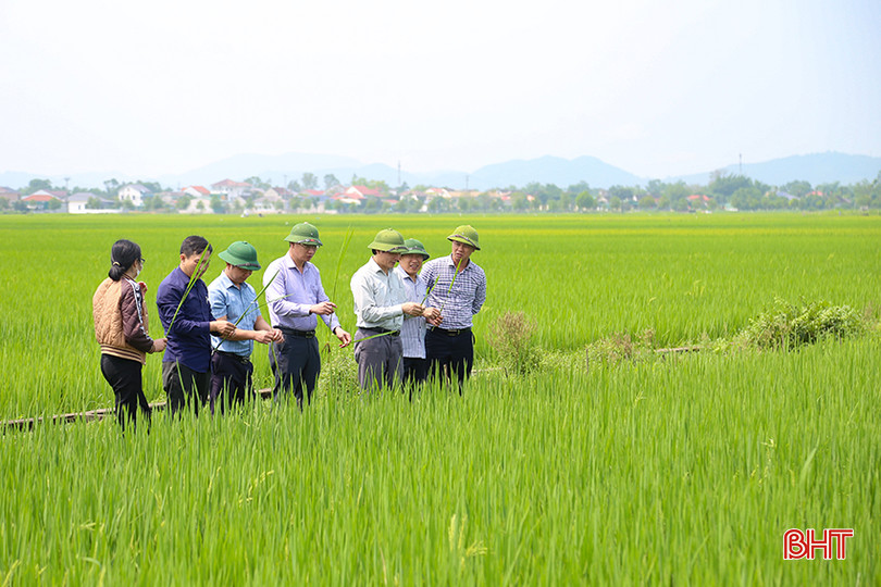 Đoàn kiểm tra tại xã Lâm Trung Thủy (huyện Đức Thọ). IMG_8387.jpg