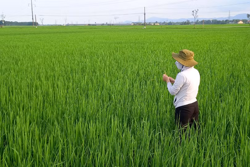 z5296584027339_67ca7ae5ea02dd25f6f6faa3929bf2b6 (1).jpg